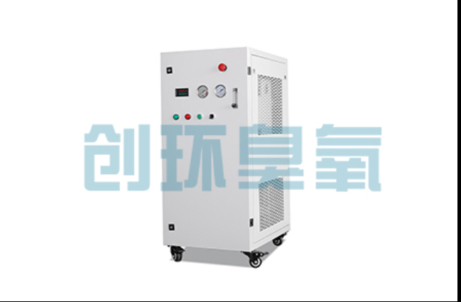 河源工厂化养鲈必看:2026年臭氧发生器替代传统消毒的最新方案