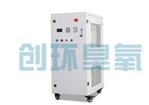 河源石斑鱼养殖水质调控完整指南：臭氧发生器配置与操作步骤