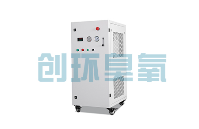 河源比传统换水更高效？臭氧发生器在石斑鱼养殖中的水质净化原理解析